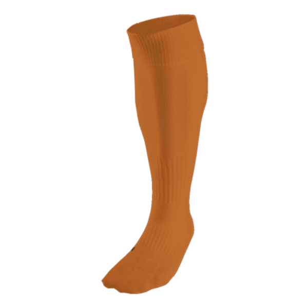 BRT Team Sock - Image 6