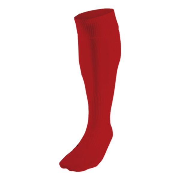 BRT Team Sock - Image 9