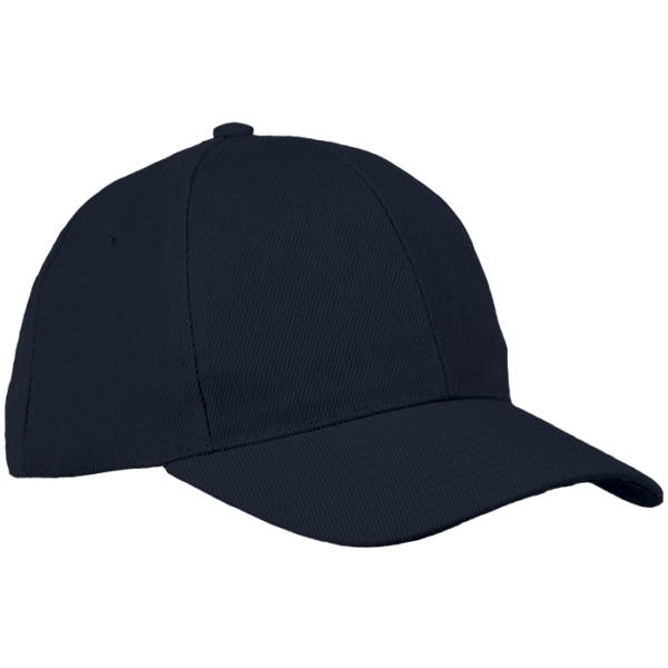 6 Panel Raven Cap