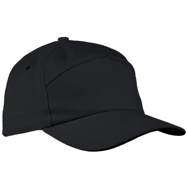 6 Panel Carbon Cap - Image 3