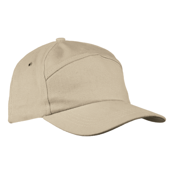 6 Panel Carbon Cap - Image 4