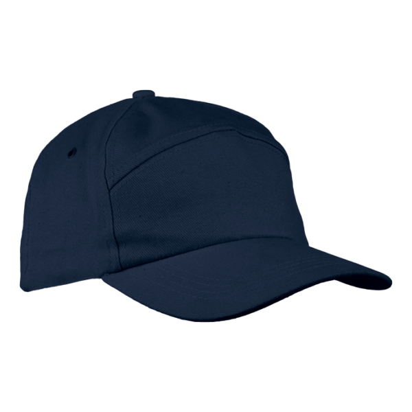 6 Panel Carbon Cap