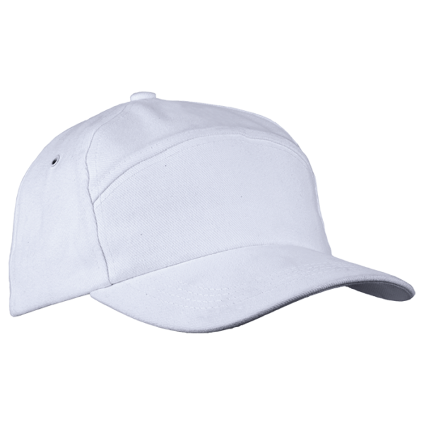 6 Panel Carbon Cap - Image 5