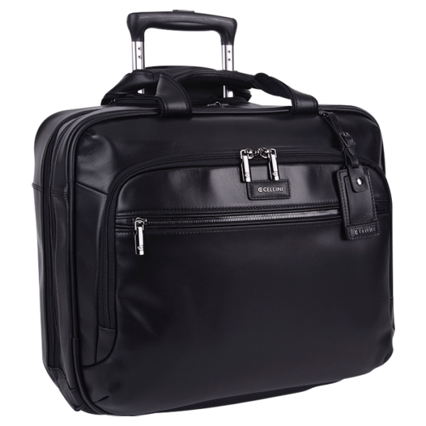 Cellini Infinity Multipocket Digital Business Case - Image 3