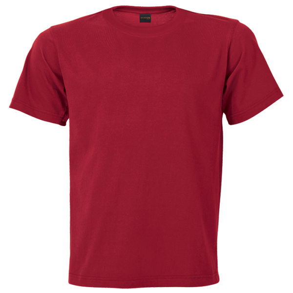 160g Barron Crew Neck T-Shirt (TST160B) - Image 5