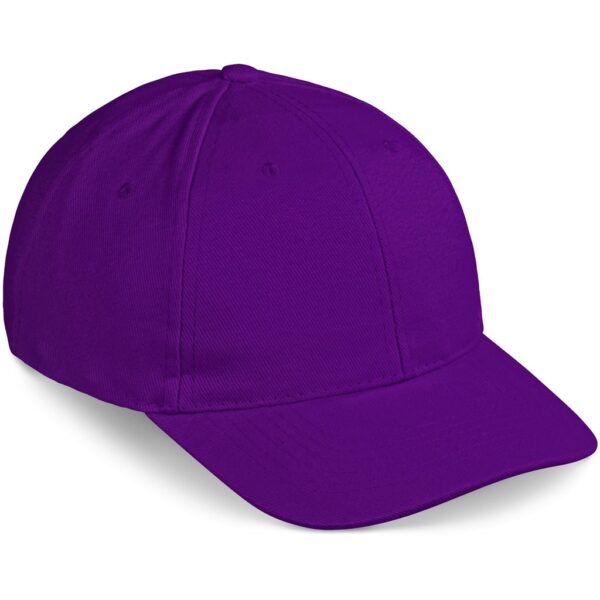 Pro Basic Cap - 6 Panel - Image 11