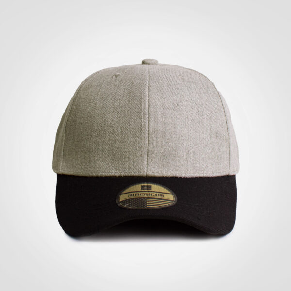 FWRD American Two Tone Cap