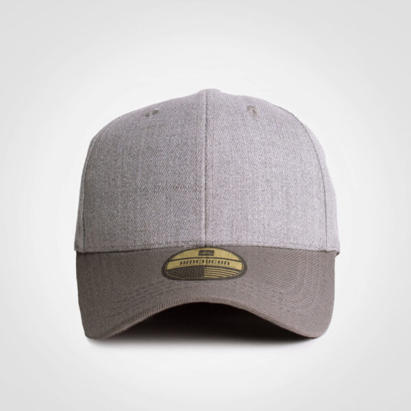 FWRD American Two Tone Cap - Image 3