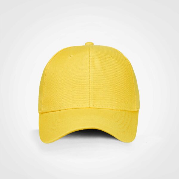 FWRD Americano Cap - Image 15