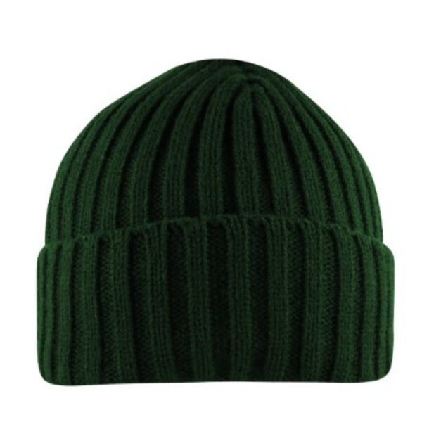 B1701BOTTLE - Cuffed Chunky Beanie - Bottle