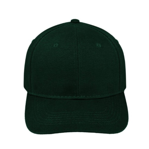 V6009BOTTLE - 6 Panel Brushed Cotton Cap - Bottle