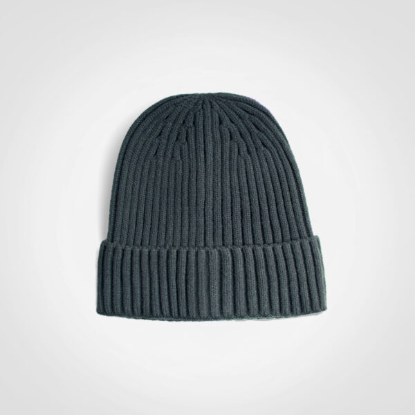 FWRD Glacier Ribbed Beanie - Image 4