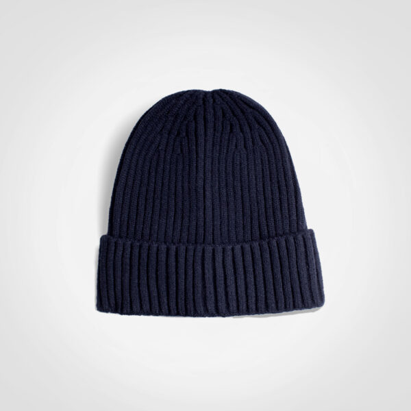 FWRD Glacier Ribbed Beanie - Image 7