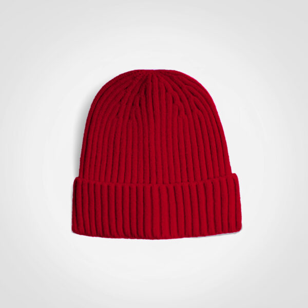 FWRD Glacier Ribbed Beanie - Image 3