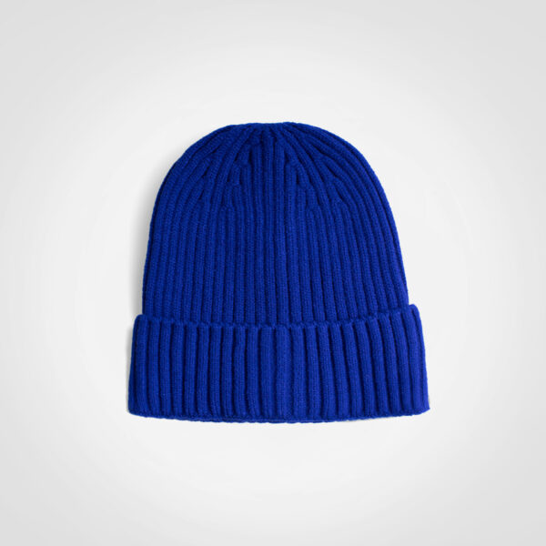 FWRD Glacier Ribbed Beanie - Image 6