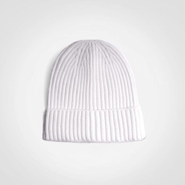 FWRD Glacier Ribbed Beanie - Image 10