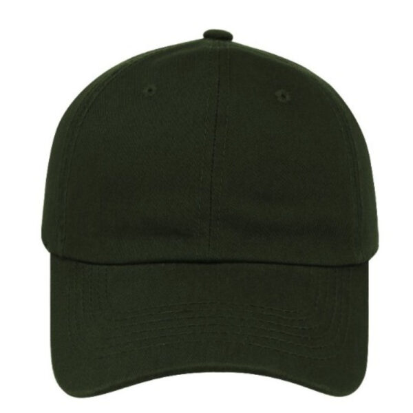 6017OLIVE - The Bark Cap - Olive