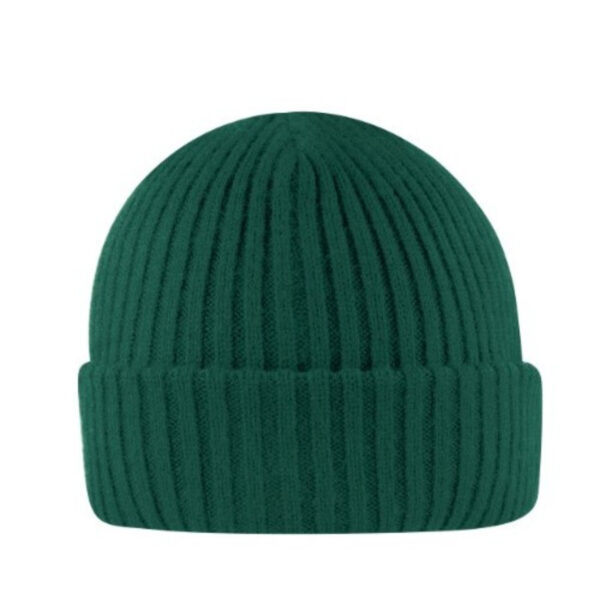 U20900CBSAGE - Cuffed Beanie - Sage