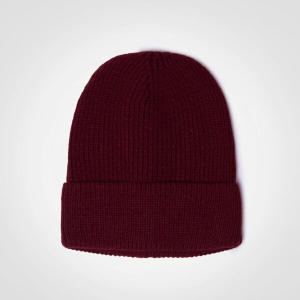 FWRD Ice Beanie - Image 6