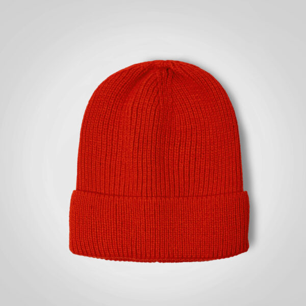 FWRD Ice Beanie