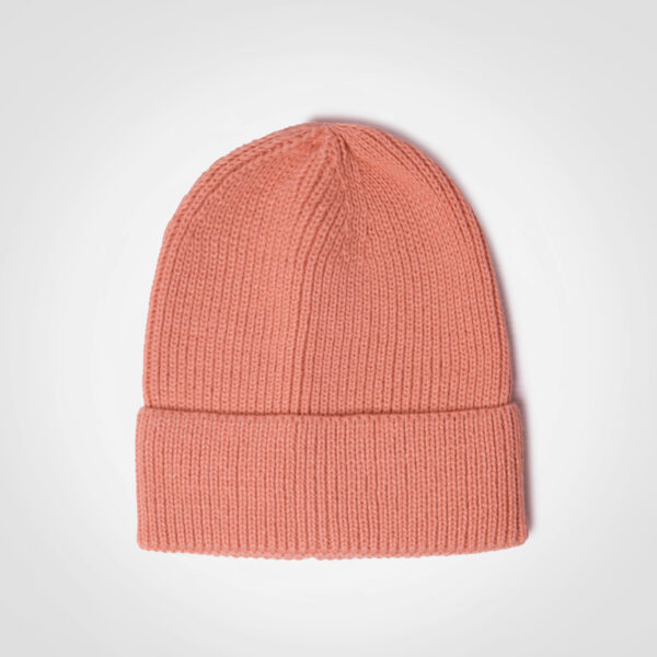 FWRD Ice Beanie - Image 5