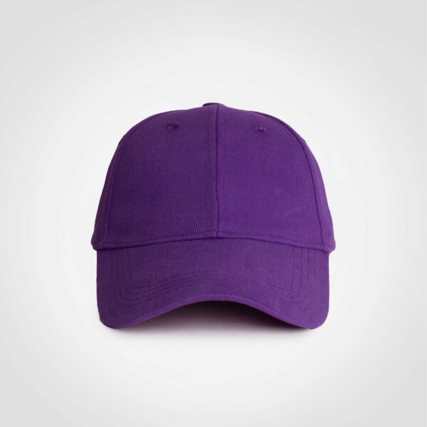 FWRD Classic 6 Panel Cap - Image 7