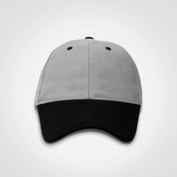 FWRD Classic Two Tone Cap