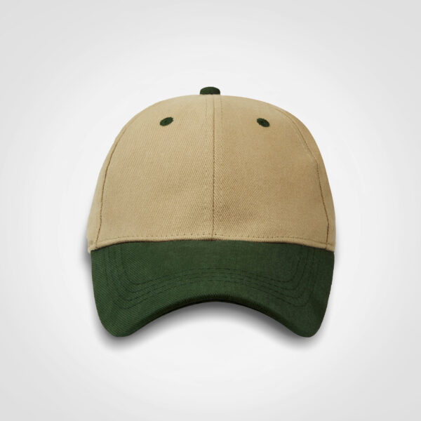 FWRD Classic Two Tone Cap - Image 3