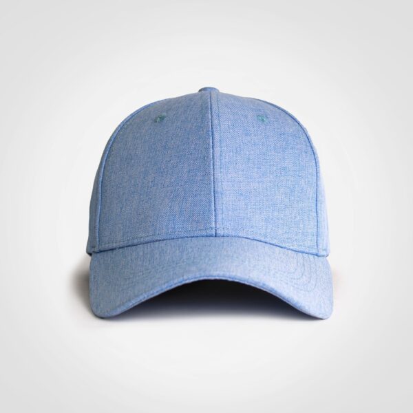 FWRD Linen Cap - Image 5