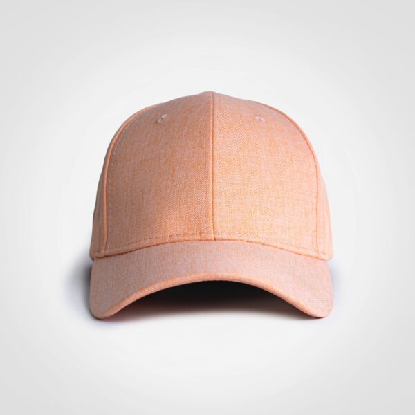 FWRD Linen Cap - Image 3