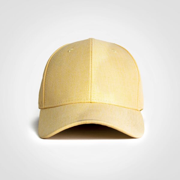 FWRD Linen Cap - Image 6