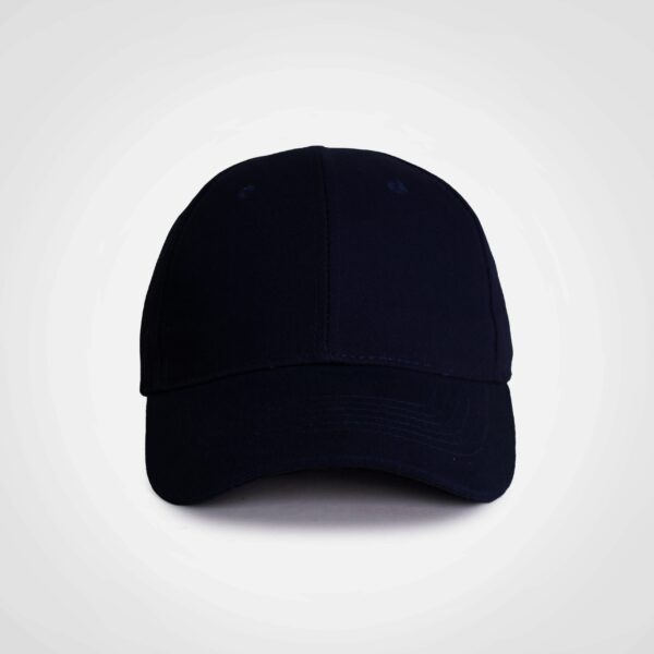 FWRD Promo 6 Panel Cap - Image 6