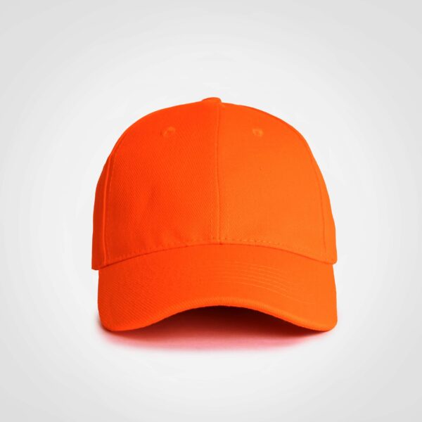 FWRD Promo 6 Panel Cap - Image 8