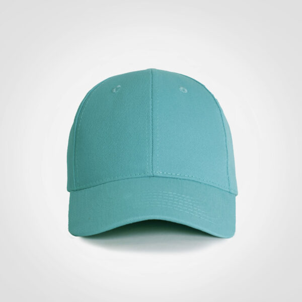 FWRD Promo 6 Panel Cap - Image 22