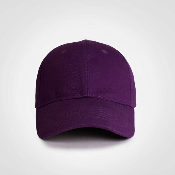 FWRD Promo 6 Panel Cap - Image 10