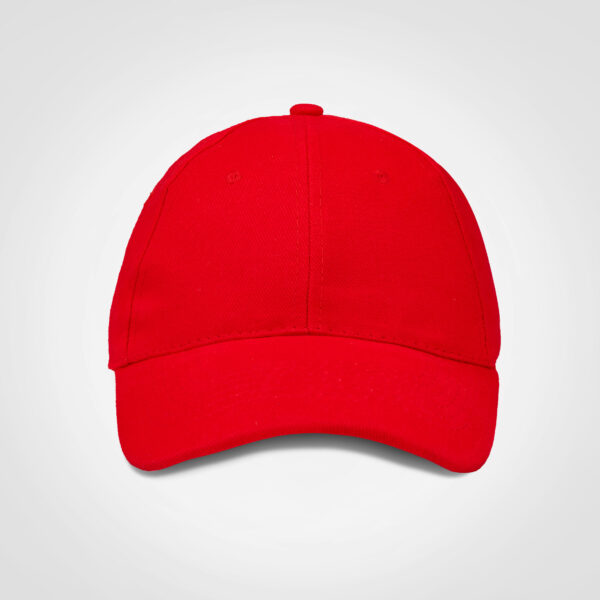 FWRD Promo 6 Panel Cap - Image 11