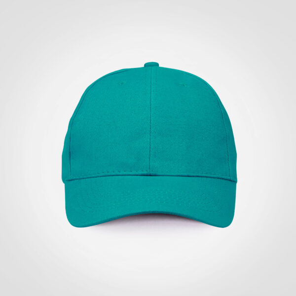 FWRD Promo 6 Panel Cap - Image 19