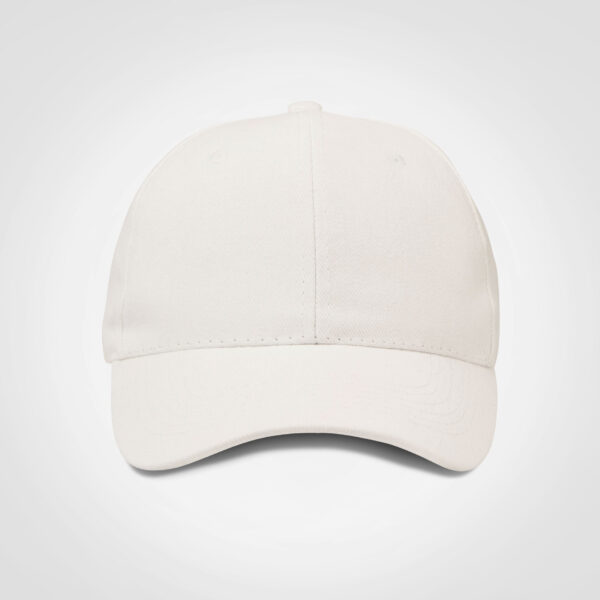 FWRD Promo 6 Panel Cap - Image 14