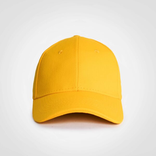 FWRD Promo 6 Panel Cap - Image 15