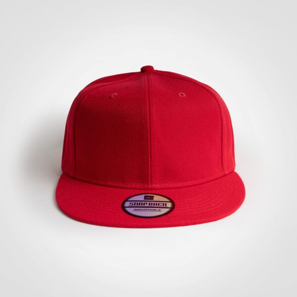 FWRD Snapback - Image 4