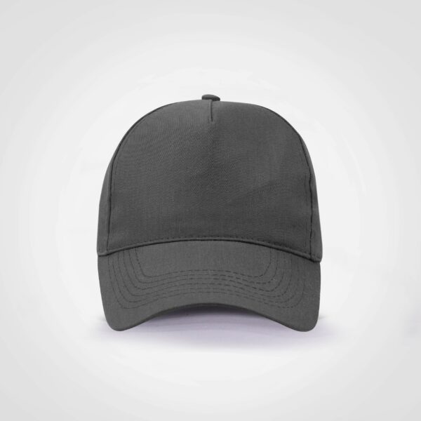 FWRD Superior 5 Panel Cap - Image 15