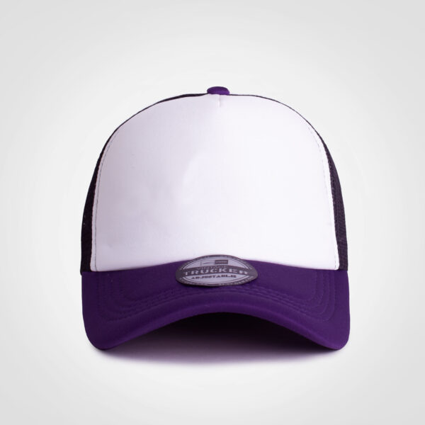 FWRD Vintage Trucker Three Tone Cap - Image 5