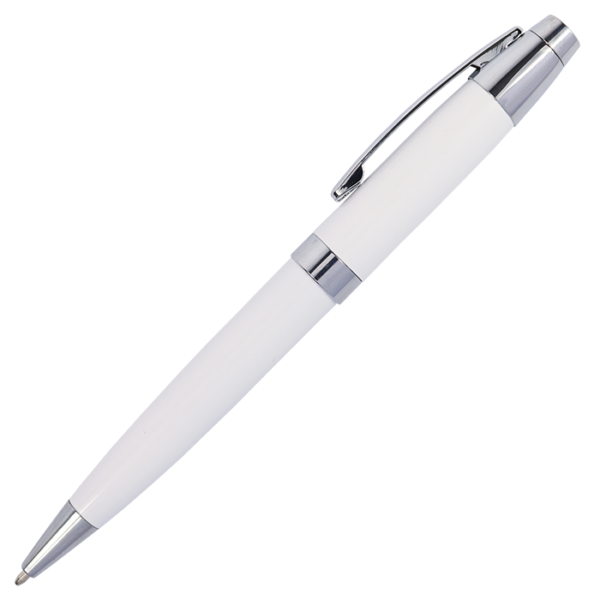 Metal Ballpoint Pen in Matching Tube