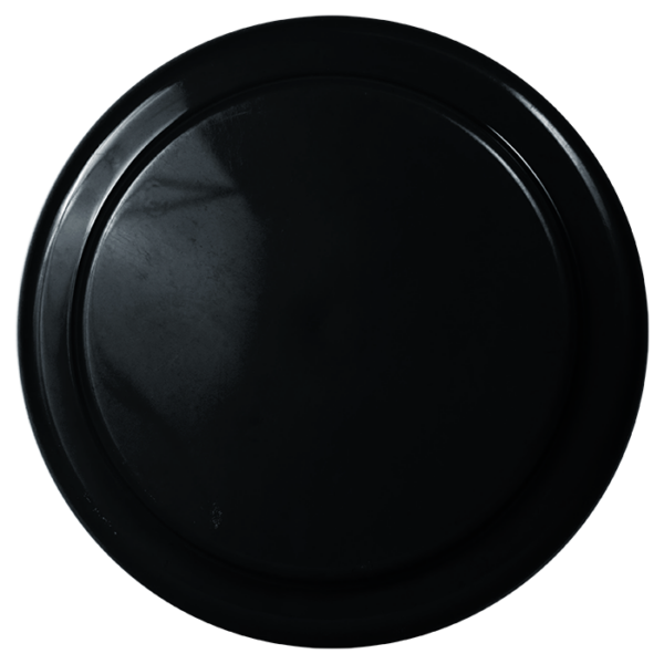 Frisbee Vanessa - Image 3