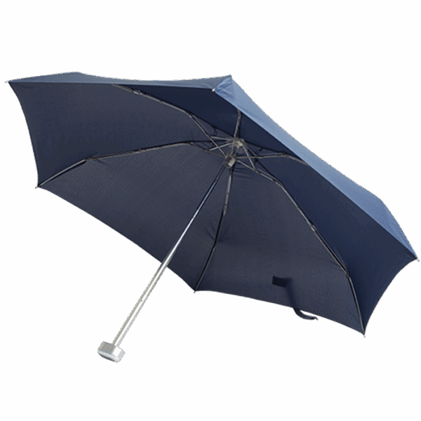 Folding Umbrella