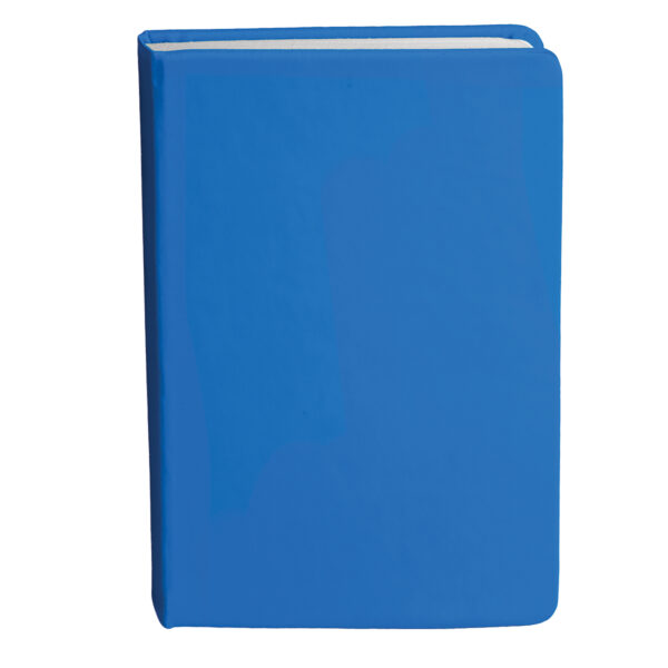Bingham Notebook - Image 16