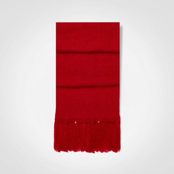 FWRD Aspen Scarf - Image 10