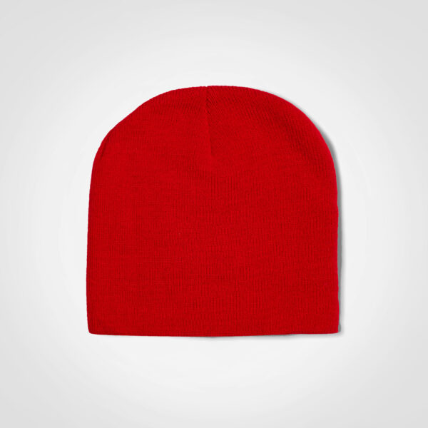 FWRD Skull Beanie - Image 7