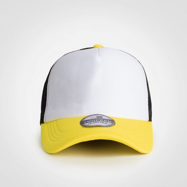 FWRD Vintage Trucker Three Tone Cap - Image 17